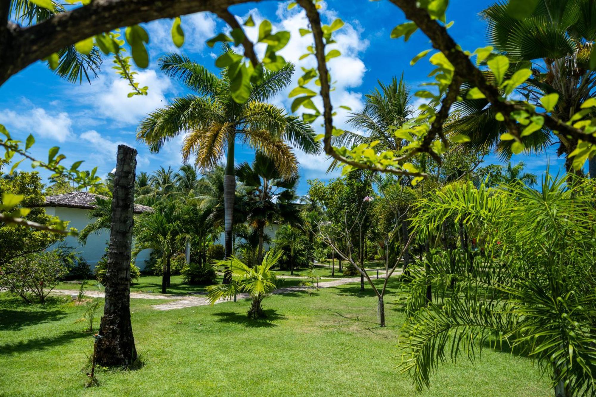 Pousada Aldeia Beijupira Pôrto de Pedras エクステリア 写真